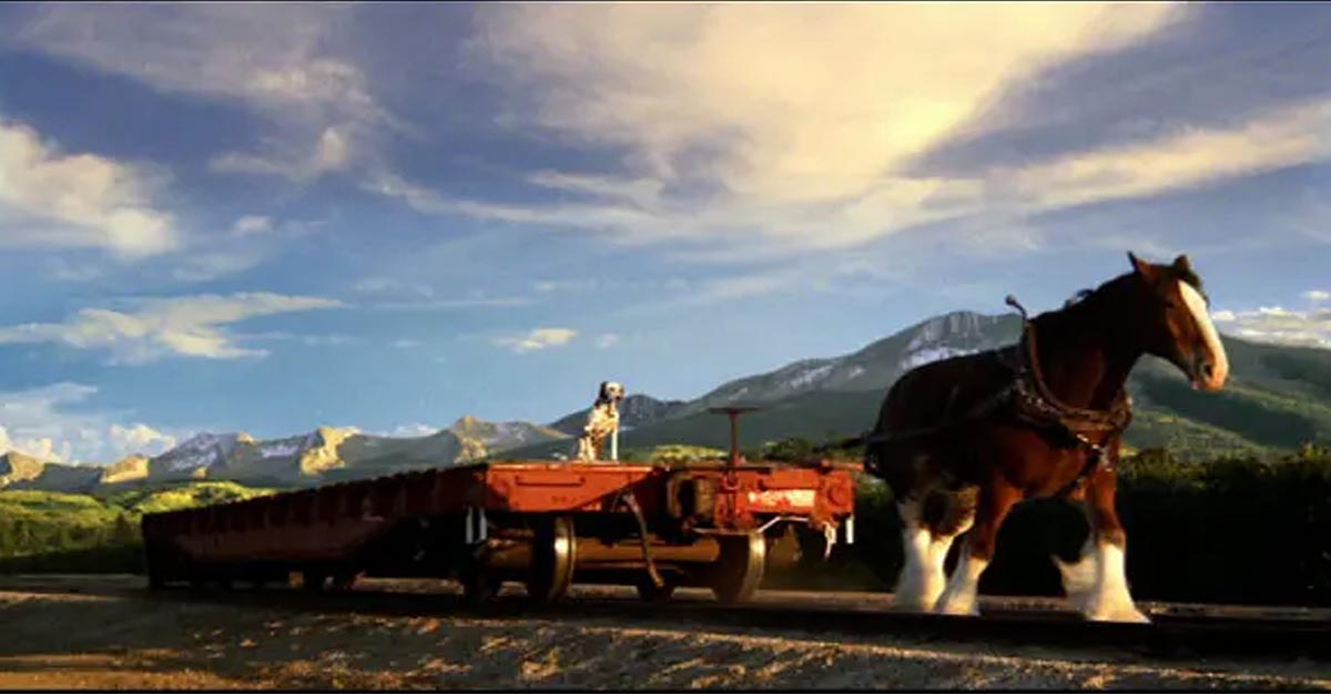Budweiser Rocky Horse SuperBowl Commercial